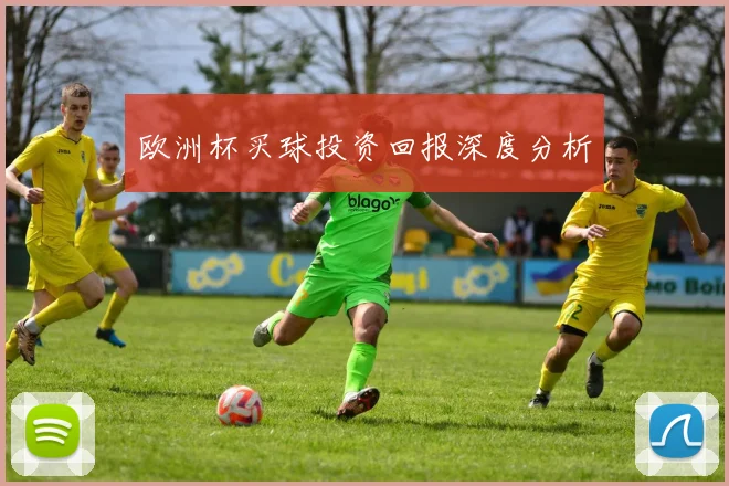 欧洲杯买球投资回报深度分析