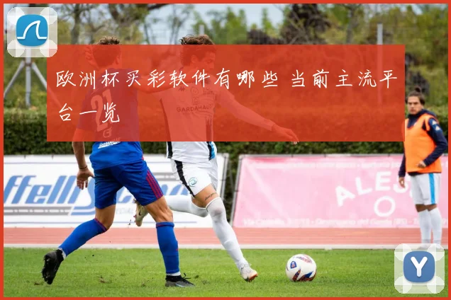欧洲杯买彩软件有哪些 当前主流平台一览
