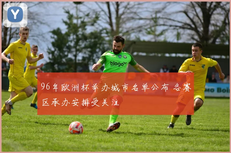 96年欧洲杯举办城市名单公布 各赛区承办安排受关注