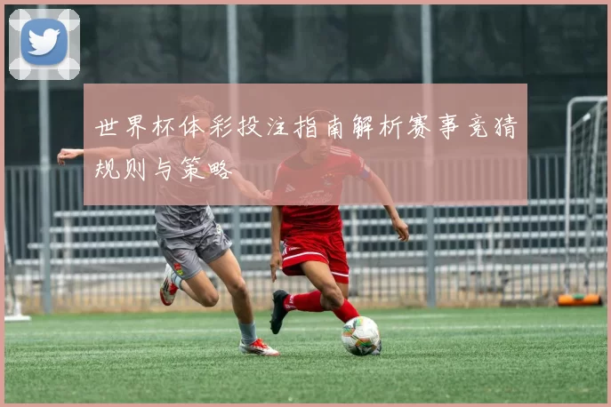 世界杯体彩投注指南解析赛事竞猜规则与策略